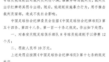 pg热门游戏-罚单：姚道刚染红后推击裁判面部 停赛1年罚款10万