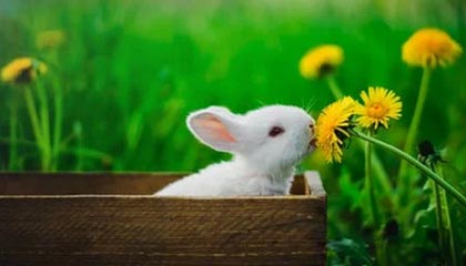 pg电子游戏排行-半场丢3球国奥热身1比3乌兹别克 梁伟棚补时破门